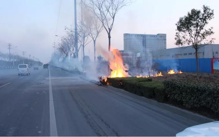 1553841517656545.png 圖片2.png