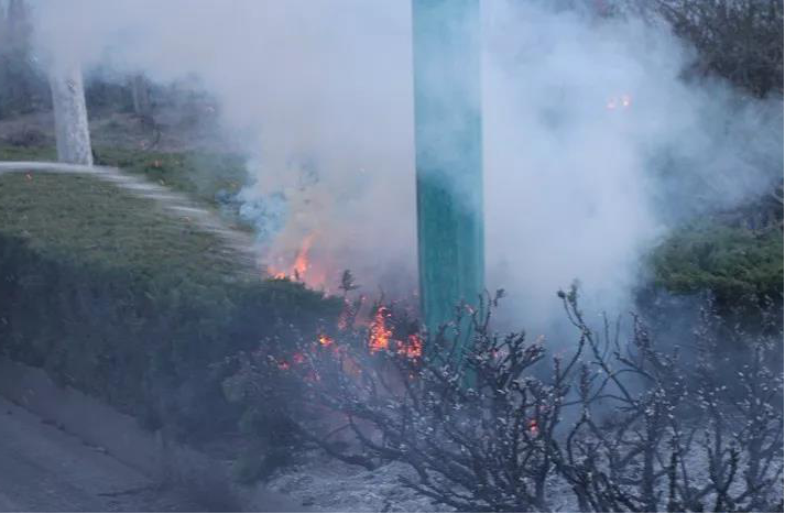 1553841578274410.png 圖片5.png