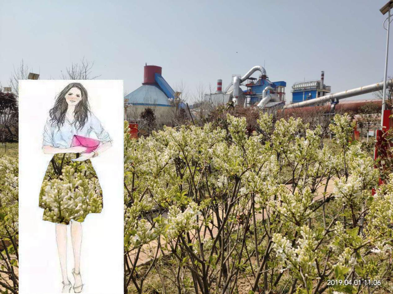 1554860353555199.png 圖片16.png