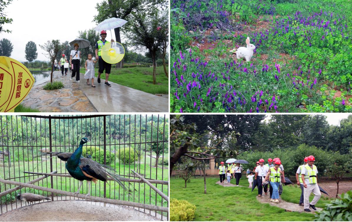 1598585674991085.jpg 圖片4.jpg